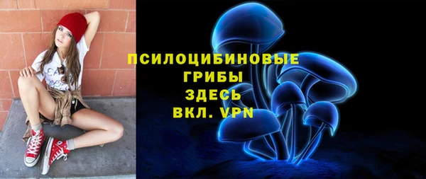 ГАЛЛЮЦИНОГЕННЫЕ ГРИБЫ Гусев