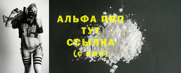 ГАЛЛЮЦИНОГЕННЫЕ ГРИБЫ Гусев