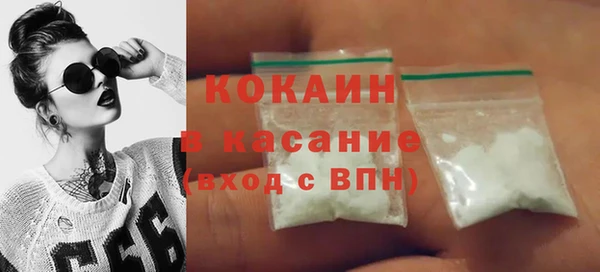 ГАЛЛЮЦИНОГЕННЫЕ ГРИБЫ Гусев