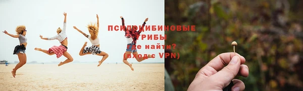бошки Дмитриев