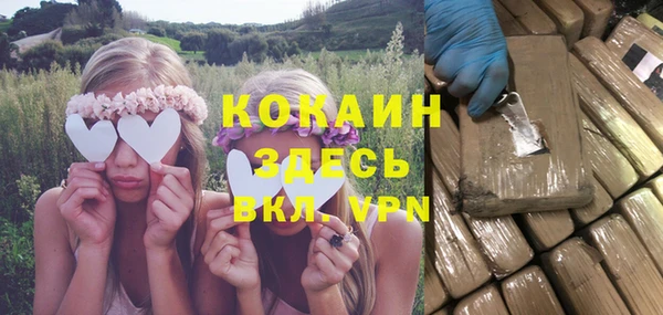 ГАЛЛЮЦИНОГЕННЫЕ ГРИБЫ Гусев