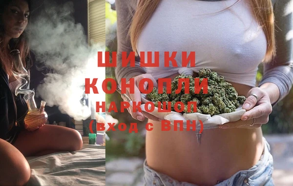 ГАЛЛЮЦИНОГЕННЫЕ ГРИБЫ Гусев
