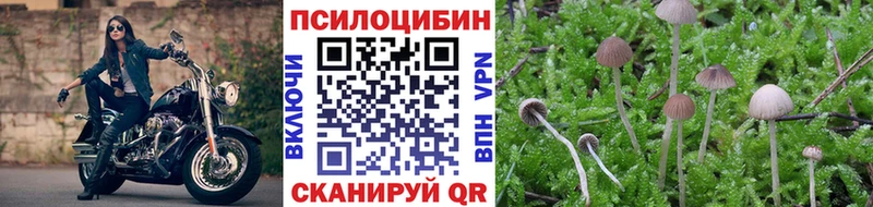 наркота  даркнет формула  Галлюциногенные грибы Psilocybine cubensis  Псков 