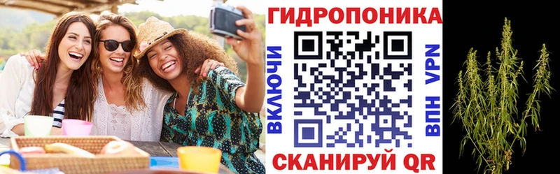 kraken tor  Псков  Марихуана тримм 